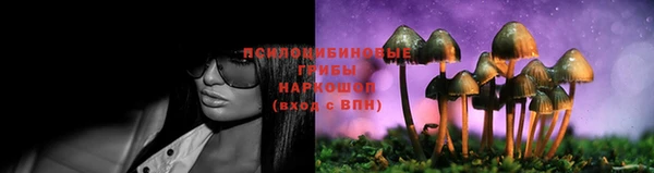 МДПВ Волоколамск