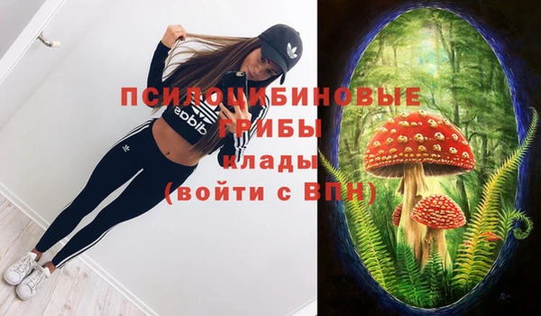 МДПВ Волоколамск