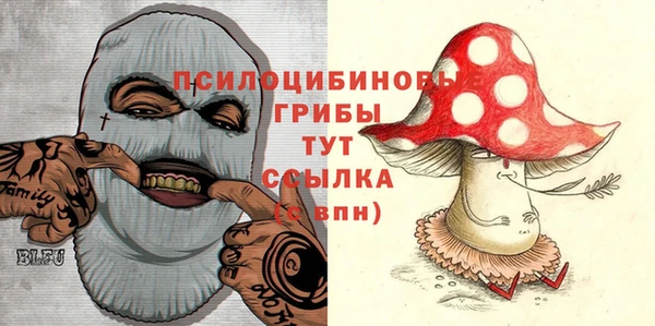гидропоника Володарск