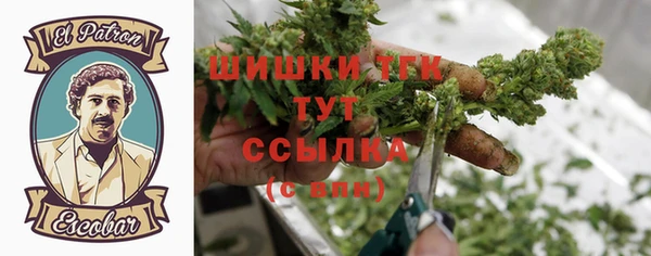 МДПВ Волоколамск